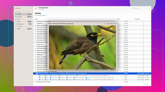Disk Drill Software Disk Drill Screenshot