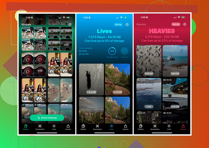 Avis sur lapplication Clever Cleaner