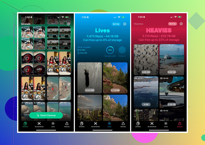 Capture décran de linterface de Clever Cleaner