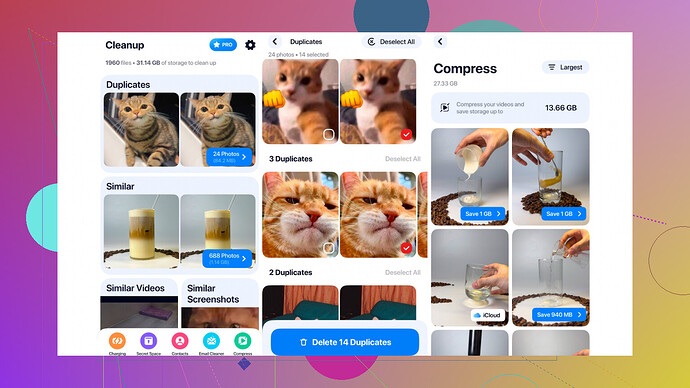 Affichage de linterface de lapplication Cleanup