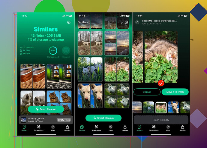 Clever Cleaner Example Screenshot