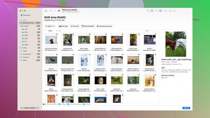Disk Drill Software Disk Drill Screenshot