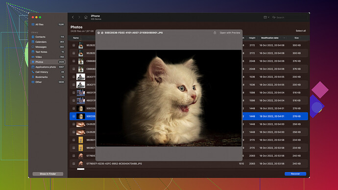 Disk Drill Software Disk Drill Screenshot