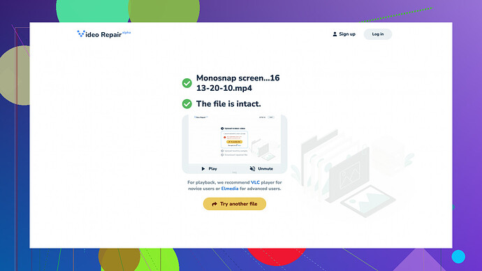 Clever Online Video Repair Software Clever Online Video Repair Screenshot