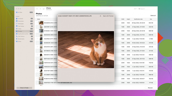 Disk Drill Software Disk Drill Screenshot