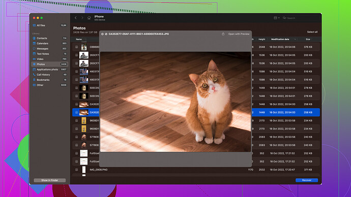 Disk Drill Software Disk Drill Screenshot